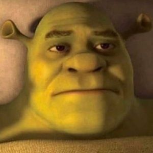 Meet your Posher, Bailey